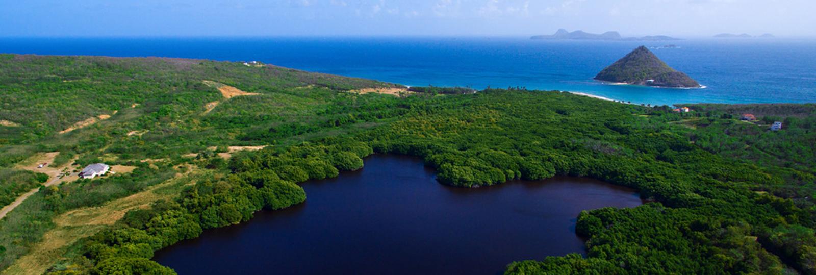 puregrenada.com