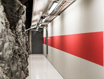 Pori_verne_glesys_finland.width-358