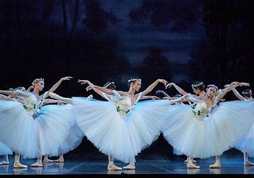 The-Company-Giselle-low-res.width-358
