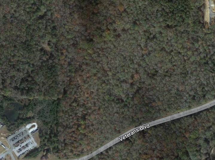 406_West_Veterans_Blvd_Auburn_Alamaba.original