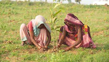 panna_women_planting_tree.jpg__800x460_q80_cro.width-358
