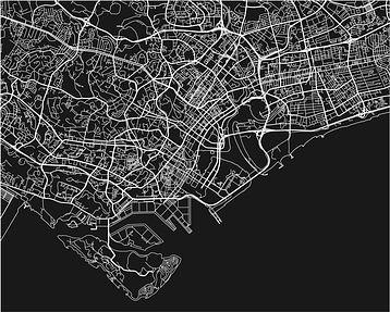Singapore_Map.width-358 (1)