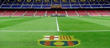 Camp-Nou-Grass.width-358