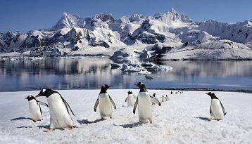Antartica