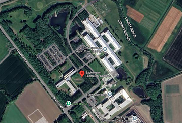 backweston_campus.width-358